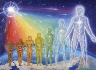 Le Créateur – Rester ou Bouger